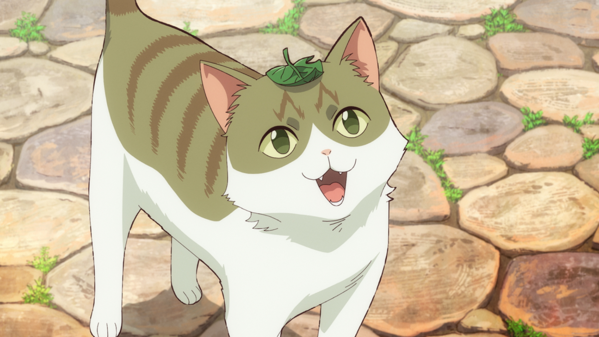第1話「猫と竜」 | TVアニメ「猫と竜」公式サイト