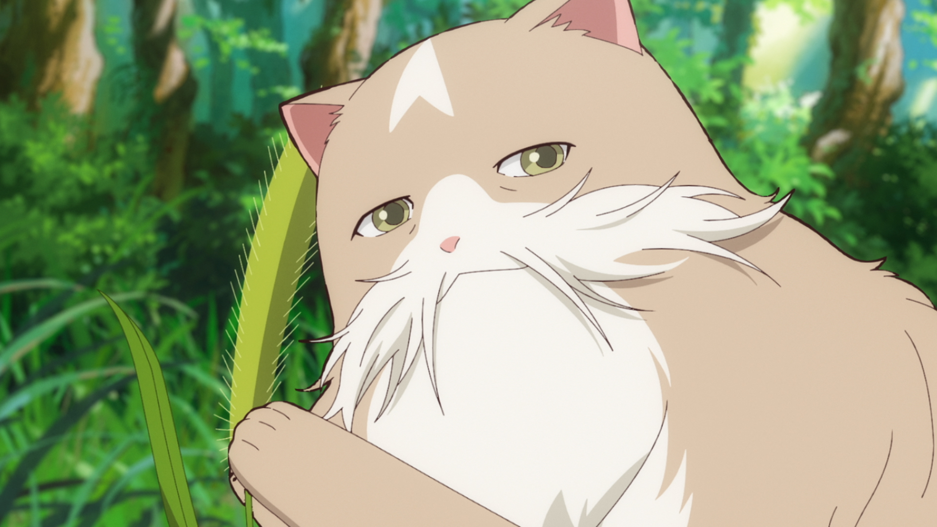 第6話「猫じゃらしの夜」 | TVアニメ「猫と竜」公式サイト