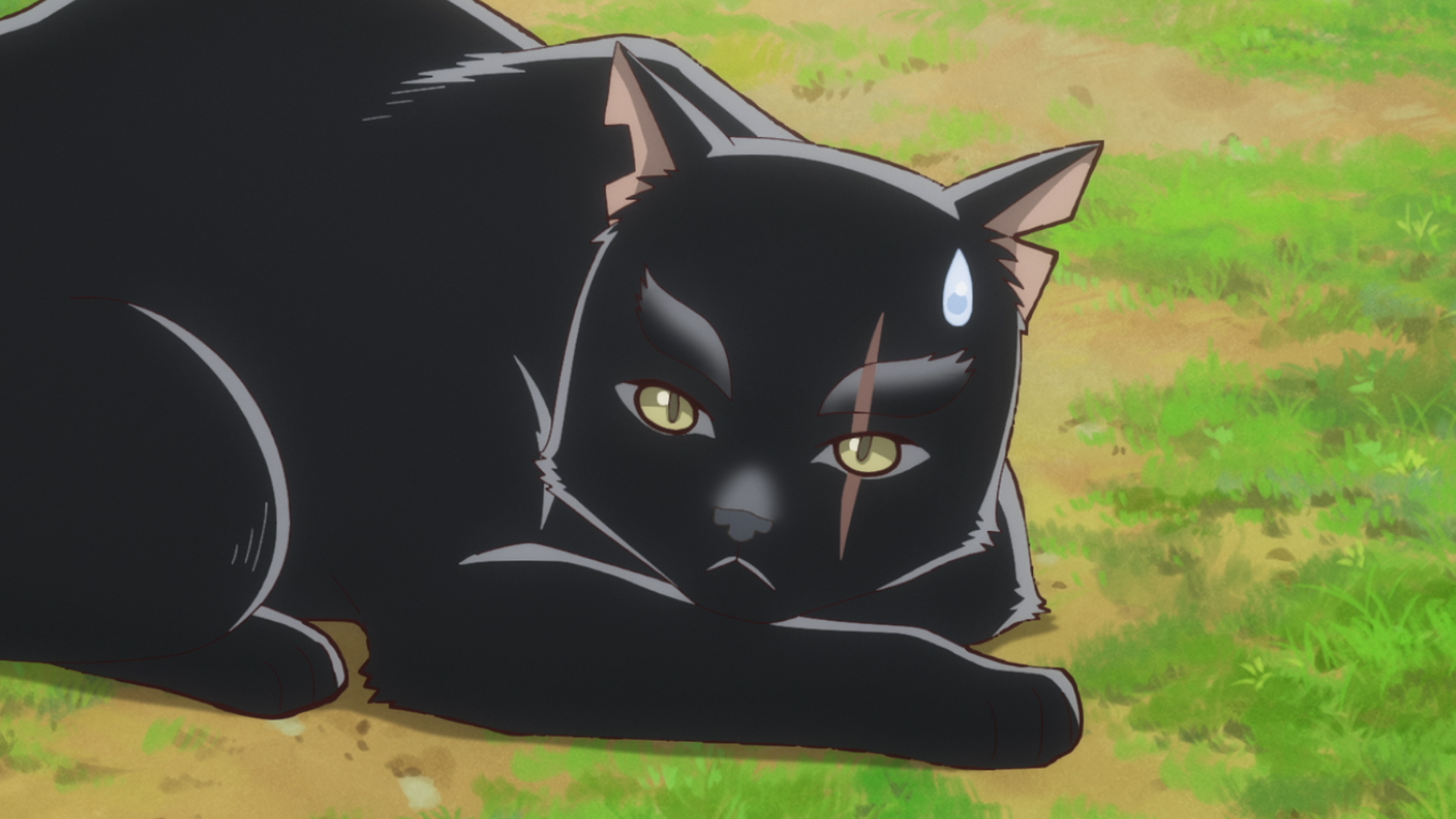 第8話「城下町の生活＆黒猫と冒険王子」 | TVアニメ「猫と竜」公式サイト